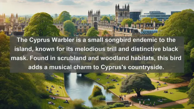 Video thumbnail for Top 10 native fauna in Cyprus