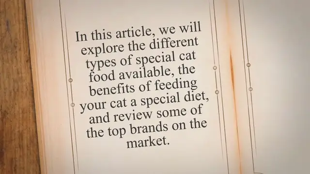 'Video thumbnail for The Ultimate Guide to Special Cat Food: Types, Benefits, and Top Brands Reviewed'