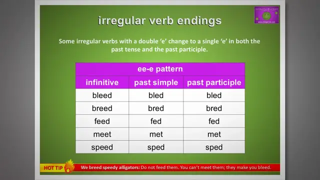 'Video thumbnail for Irregular Verbs: ee-e Pattern'