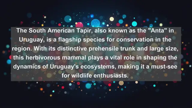 Video thumbnail for Exploring Uruguay's Wildlife Treasures: Top 10 Native Animals