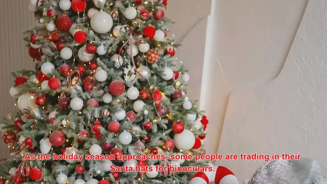 Video thumbnail for How Do People Celebrate Christmas With Festive Birdwatching Tours?