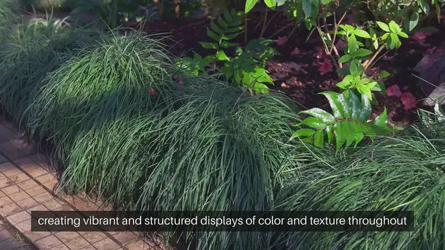 Video thumbnail for Herbaceous Borders