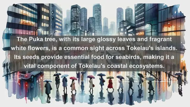 Video thumbnail for Exploring Tokelau's Floral Wonders: Top 10 Native Plant Species