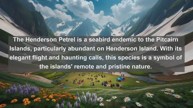 Video thumbnail for Wings of the Pitcairn Islands: Exploring the Top 10 Native Birds