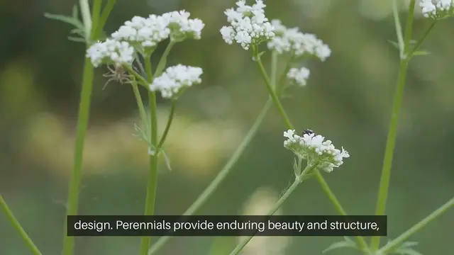 Video thumbnail for Perennial Gardening Ideas
