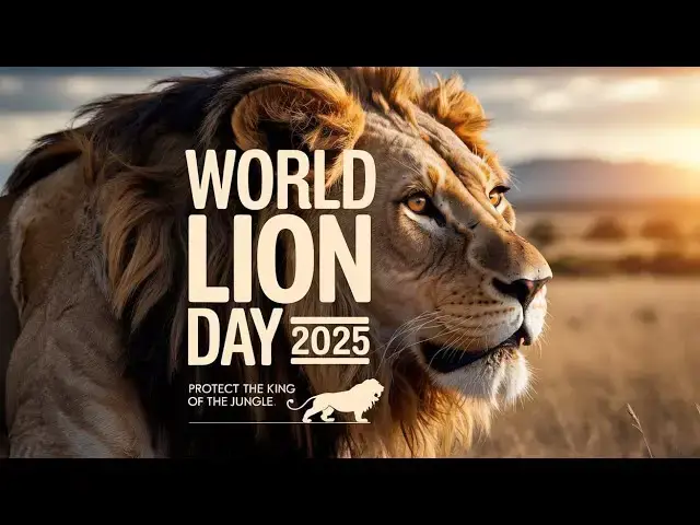 'Video thumbnail for World Lion Day 2025 | Protecting the King of the Jungle & Global Conservation Efforts'