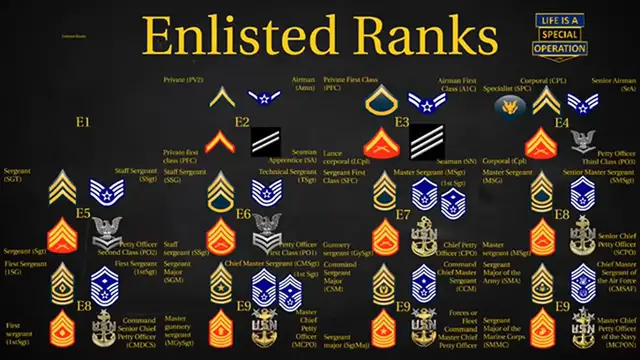 Video thumbnail for US Military (All Branches) ENLISTED Ranks Explained