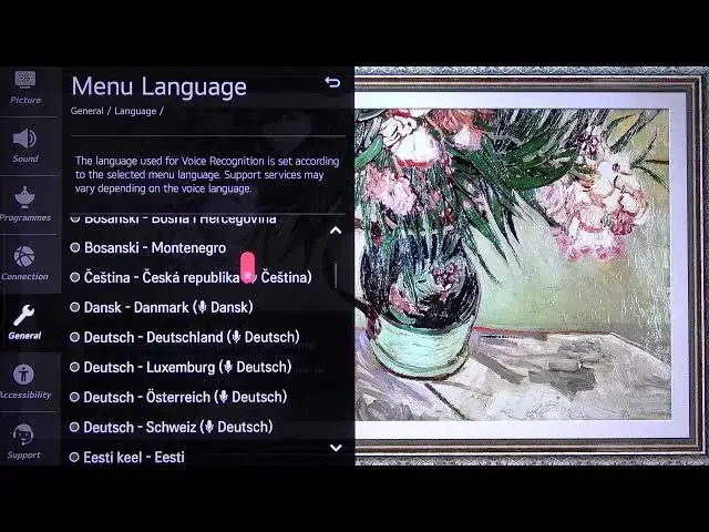 Video thumbnail for LG NanoCell TV - How to Change Language? LG 4K LED Smart TV (49NANO867NA)