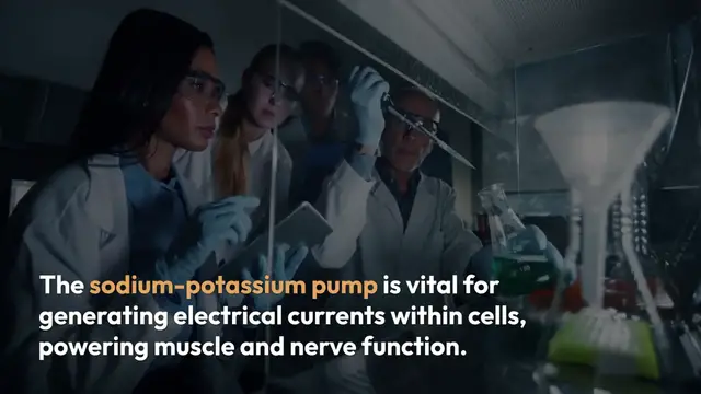 Video thumbnail for Natural_Energy_Boosting_Tips