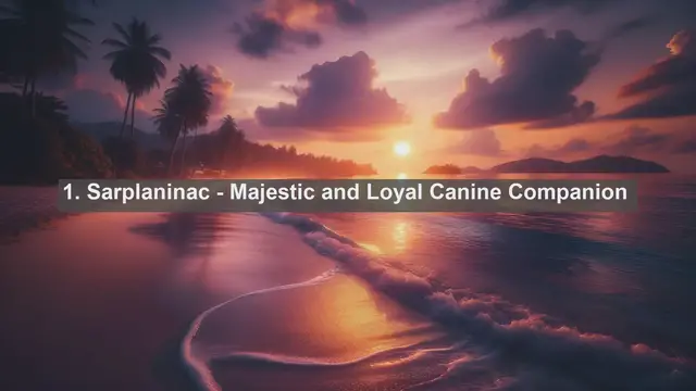 Video thumbnail for Discover Bosnia and Herzegovina's Top 10 Favorite Pets: Your Guide to Furry Companions!