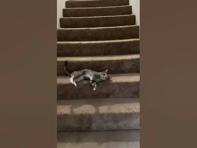 Video thumbnail for Como eu estou hoje