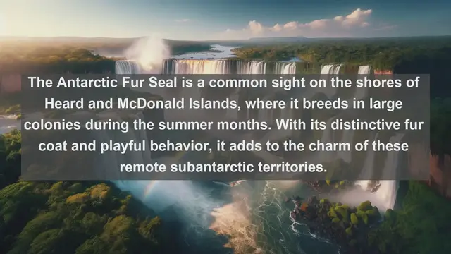 Video thumbnail for Exploring the Enigmatic: Top 10 Native Animals of Heard and McDonald Islands