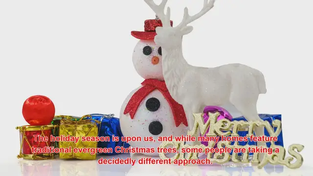 Video thumbnail for What Are Some Of The Most Unusual Christmas Trees?