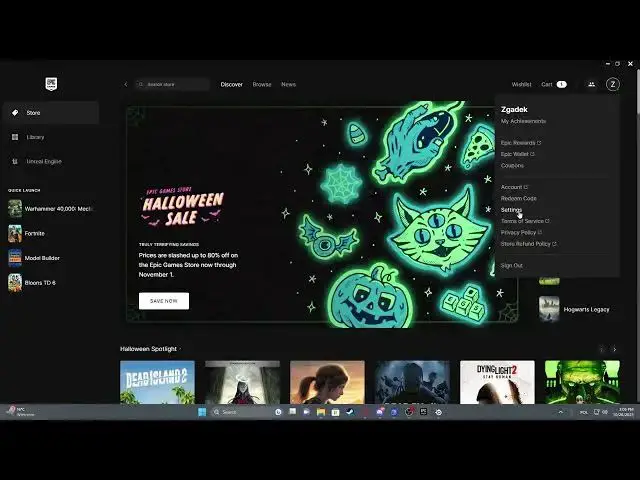 Video thumbnail for How To Enable & Disable Offline Mode Browsing In Epic Games Launcher 2023 / 2024