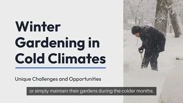 Video thumbnail for Winter Gardening Tips For Cold Climates