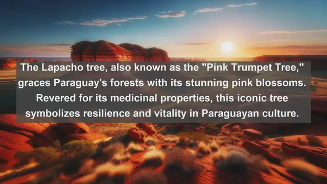 Video thumbnail for Unveiling Paraguay's Botanical Treasures: Top 10 Native Plants