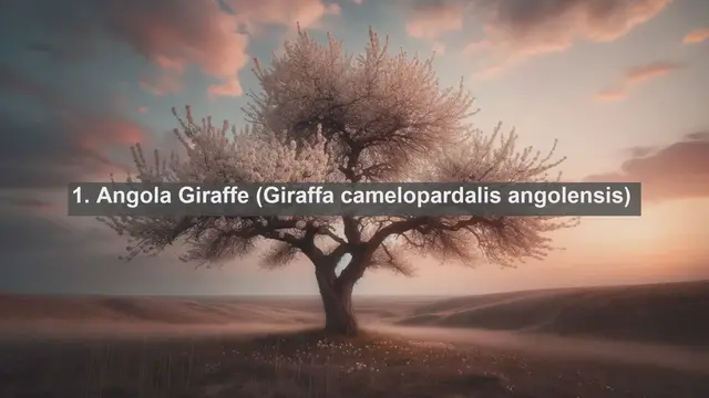 Video thumbnail for Discovering Angola's Wildlife: Top 10 Native Animals in Angola