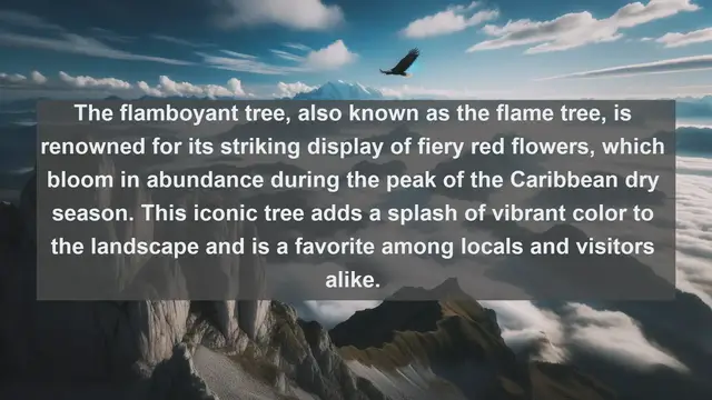 Video thumbnail for Discovering Saint Kitts and Nevis: Top 10 Native Flora You Need to See!