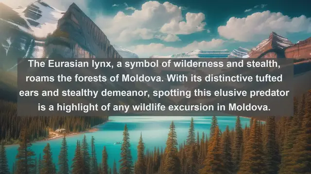 Video thumbnail for Exploring Moldova's Wildlife: Top 10 Native Animals You Must See!