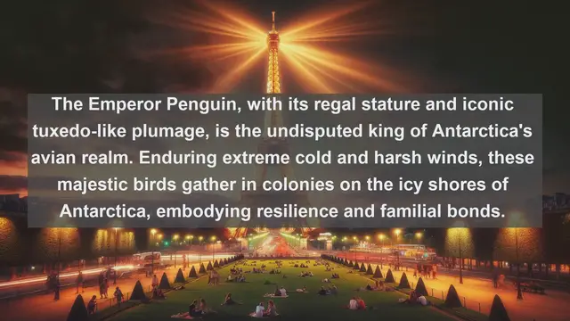 Video thumbnail for Unveiling Antarctica's Avian Marvels: Top 10 Native Birds of the Southern Continent