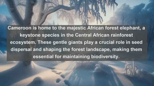 Video thumbnail for Top 10 native fauna in Cameroon