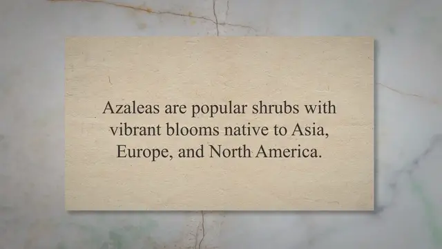 Video thumbnail for Do Rabbits Eat Azaleas? Step-By-Step Guide