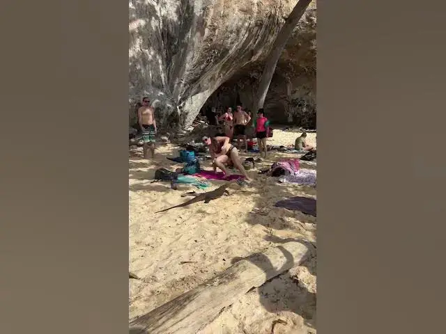 'Video thumbnail for Vou tira férias para relaxar, "AS FERIAS"     #funny #lol #animais #humor'
