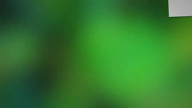 Video thumbnail for How to do Mastering Sego Palm Transplants