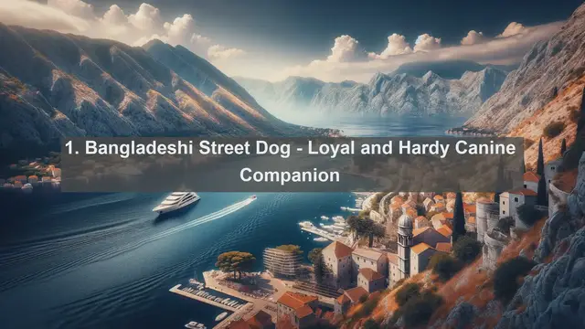 Video thumbnail for Discover Bangladesh's Top 10 Favorite Pets: Perfect Companions for Every Home!