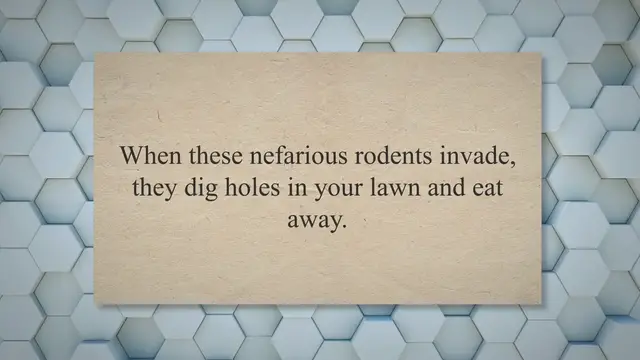 'Video thumbnail for How to Get Rid of Ground Moles with Vinegar'