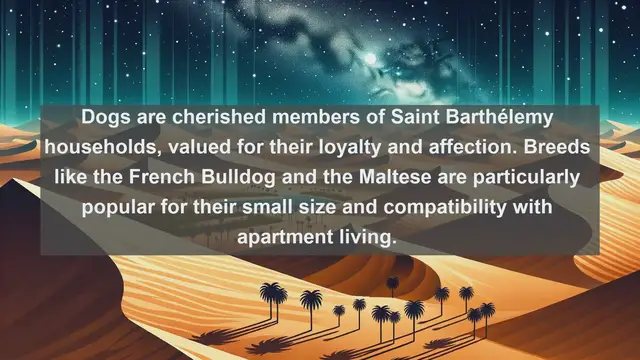 Video thumbnail for Island Pet Paradise: Top 10 Favorite Pets in Saint Barthélemy Unveiled