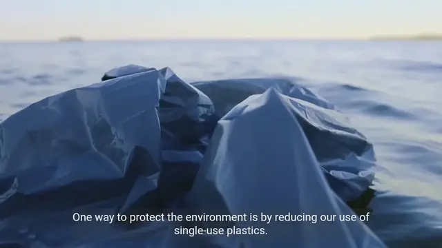 Video thumbnail for Methods to Protect Our Environment from Pollution