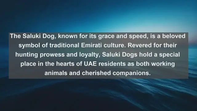 Video thumbnail for UAE's Top 10 Beloved Pets: Discover the Furry and Feathered Companions of the Emirates