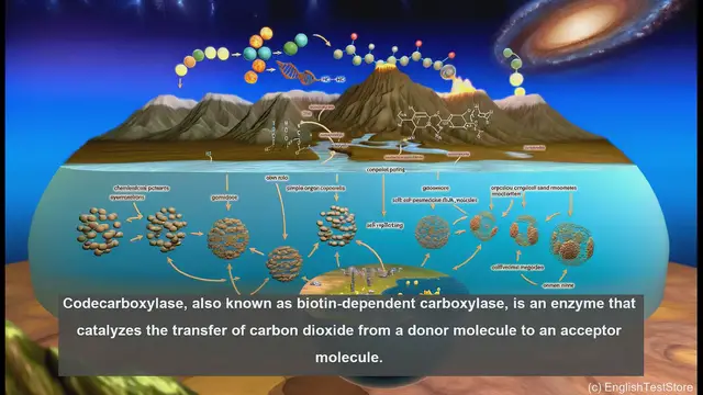 Video thumbnail for Codecarboxylase in biology