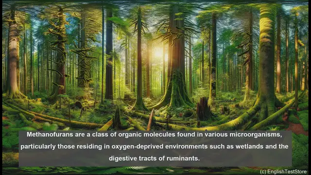 Video thumbnail for Methanofuran in biology