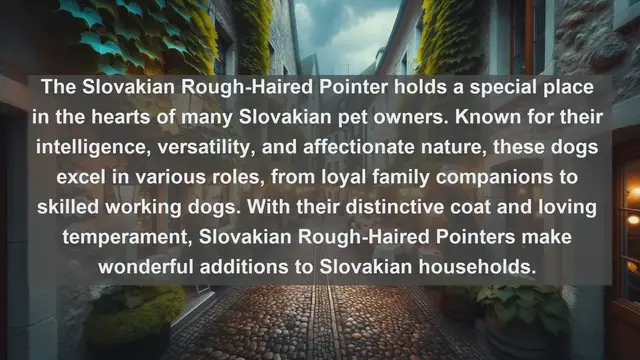 Video thumbnail for Exploring Slovakia's Top 10 Favorite Pets: A Guide to Furry Companionship