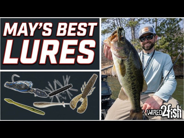 Video thumbnail for Our Best Bass Fishing Lures for May