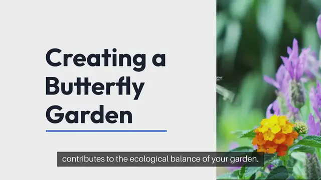 Video thumbnail for Butterfly Garden Plants and Flowers