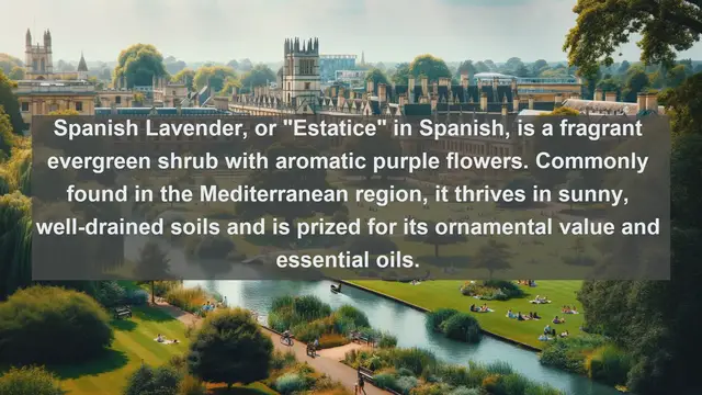 Video thumbnail for Unveiling Spain's Botanical Splendor: Top 10 Native Flora