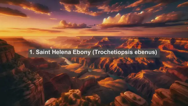 Video thumbnail for Discovering Saint Helena, Ascension, and Tristan da Cunha: Top 10 Native Plants