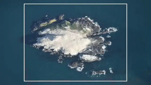 Video thumbnail for Why Half of this Country Lives on One Tiny Island (Ai)