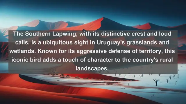 Video thumbnail for Wings of Uruguay: Discover the Top 10 Native Birds of Uruguay