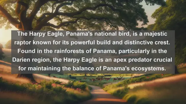 Video thumbnail for Unveiling Panama's Wildlife: Top 10 Native Animals in the Land of Biodiversity