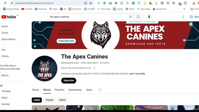 Video thumbnail for Make Money on YouTube Without Showing Your Face Create Animal Shorts Videos Usin