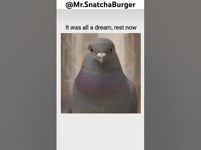 'Video thumbnail for *sobs* #snatchburger'