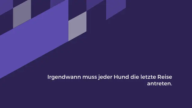 Video thumbnail for Erinnerung an verstorbenen Hund: 10 persönliche Andenken