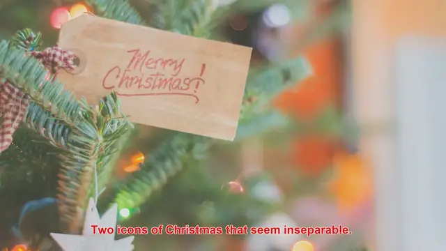 Video thumbnail for Why Do Reindeer Play A Central Role In Santa’s Legend?