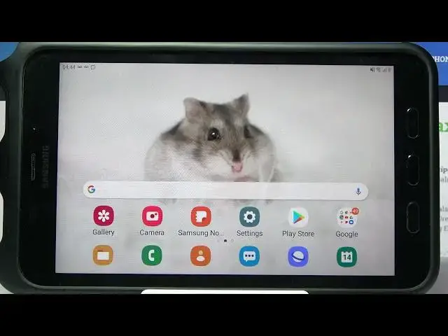 'Video thumbnail for How to Find Downloaded Files in SAMSUNG Galaxy Tab Active 2 – Localize Downloads'