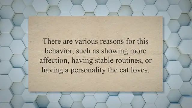 'Video thumbnail for My Roommates Cat Is Obsessed With Me - 5 Reasons Why'