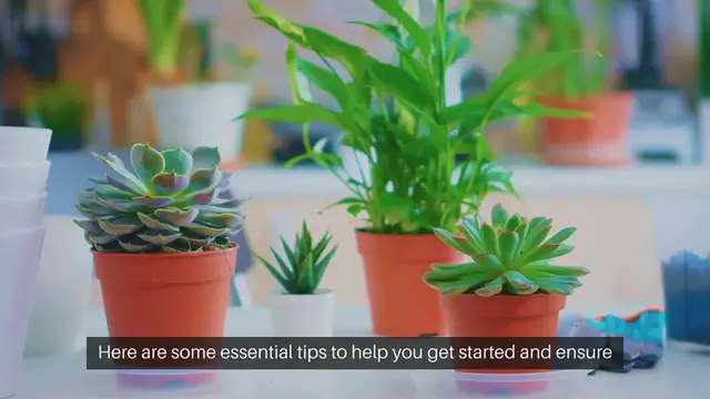 Video thumbnail for Outdoor Gardening Tips for New Gardeners
